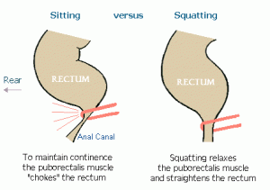 Sitting Versus Squatting Postion